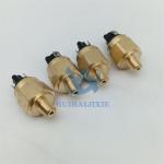 Excavator Parts 150/0.9 Bar Oil Pressure Sensor 20316268077 for Excavator