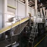 Automatic Cup Noodle Dry Noodle Production Line Equipment SUS304
