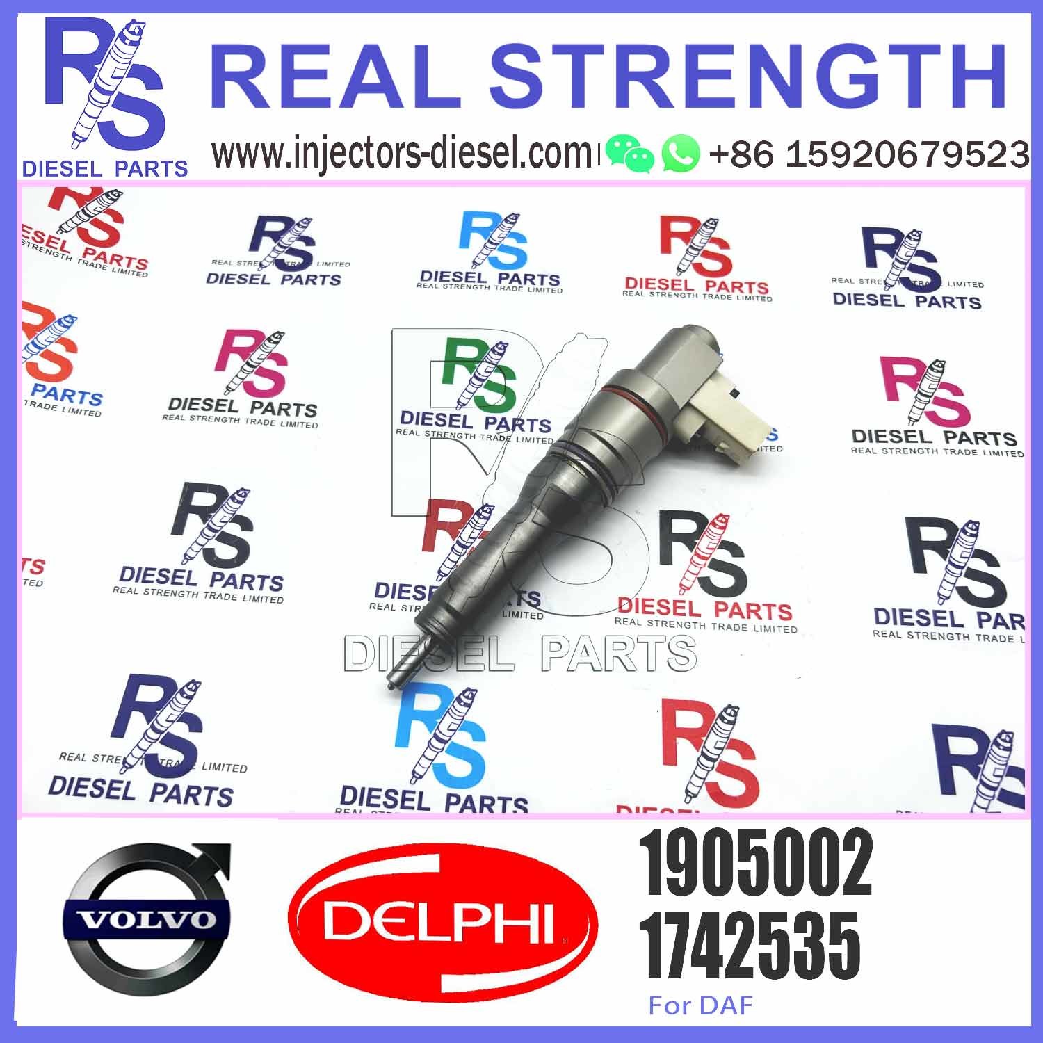 Fuel Injector Assembly BEBJ1A05002 BEBJ1A00202 BEBJ1A05001 1905001 1846419 1905002
