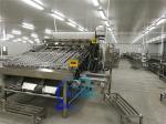 Stainless Steel Shrimp Grading Machine Practical 6000x4000x2200mm