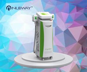 Wholesale hot sale body slimming machine double heads cryolipolysis body slimming from china suppliers
