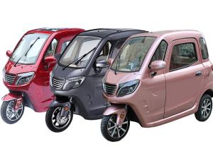Wholesale 1500W EEC/COC Certificate 3 Wheel Cabin Trike OEM Color ABS Hnad Brake from china suppliers