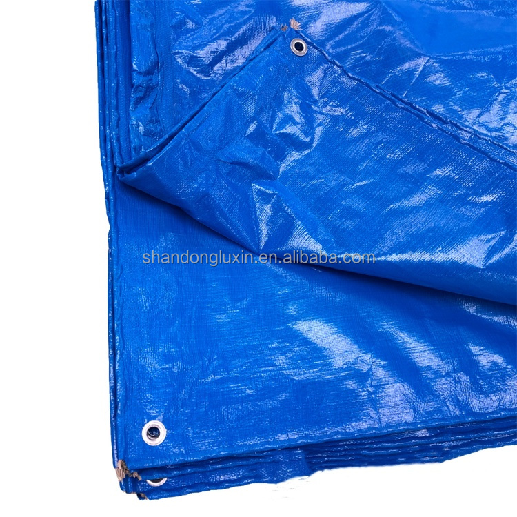 PE Tarpaulin 100% Waterproof Other Fabric Truck Cover Cargo Cover for Outdoor-Agriculture