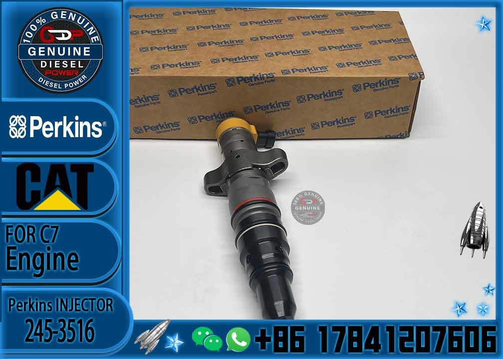 Diesel Engine Parts Common Rail Fuel Injector 243-4503 for CAT C7 Diesel Engine CNDIP Factory price