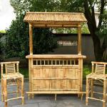 Indoor Outdoor Party Beach Tiki Bars With Cabinet And Door