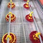 3 Lines Raising 30000 Broiler Equipment Prefab Poultry Closed House