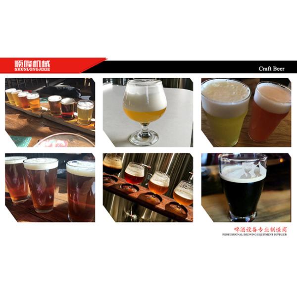 PLC Three Vessels Commercial Brewing Equipment , Fermentation Equipment