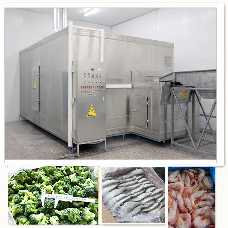 500kg/hour Tunnel Type Fries Frozen Machine, Shrimp Tail Seafood Frozen Machine