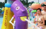 Fiberglass water fountain with Galvanized Carbon Steel Frame of amusement park