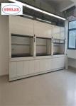 Activated Carbon Filter System Laboratory Fume Hood for Sale with Customized