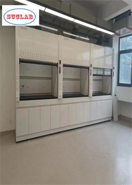 Activated Carbon Filter System Laboratory Fume Hood for Sale with Customized