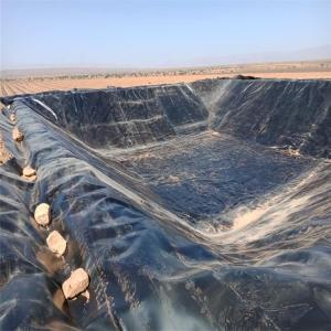 Wholesale Chinese Design Style 2mm HDPE Geomembrane for Landfill Liner Dam Liner at Competitive from china suppliers