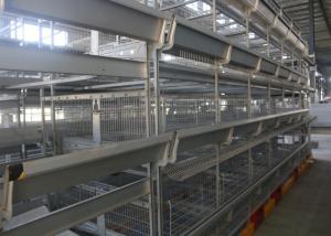 Wholesale Q235 240 Birds Automatic 4 Tiers H Type Poultry Cage from china suppliers