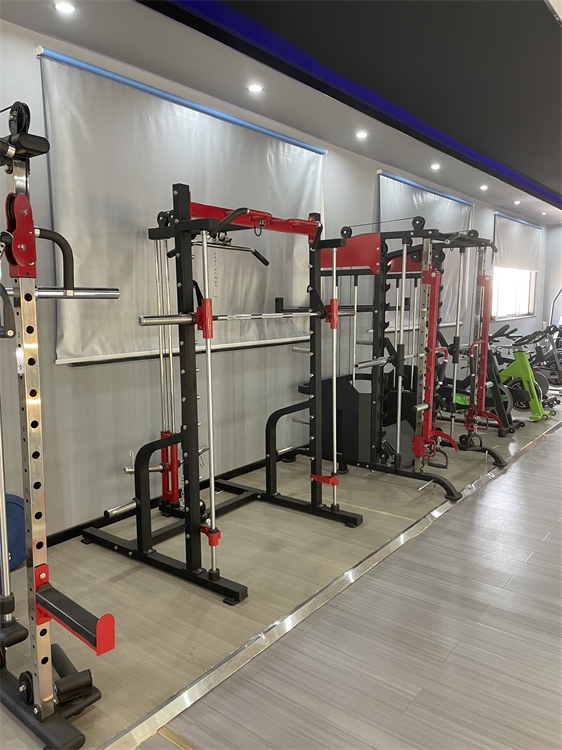 Multi-Function Gym Training Equipment Foldable Metal Half Rack Wall-Mounted Squat Adjustable Benches Power Wall Chest Back Leg