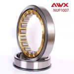 P5 NUP300 Serives High Precision Bearing Low Friction High Durability Steel