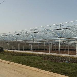Wholesale 50meter Hot Galvanized Steel Pe Film Greenhouse Tomato Nuersery Seedling With Rolling Bench from china suppliers