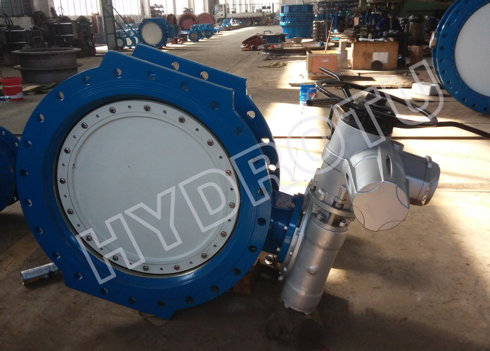 Gear Operated Flanged Butterfly Valve 1000mm for Hydropower