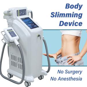 Wholesale 110VAC Cryolipolysis Slimming Machine Fat Freezing vacuum pressure from china suppliers