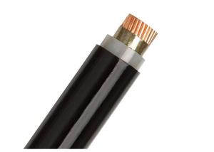 Wholesale Single Core Flame Resistant Cable 1.5 - 800sqmm 0.6 / 1kv Iec 60331 60502 from china suppliers