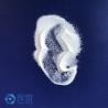 Buy cheap Bead Blasting Essential Ceramic Beads Blasting Media for Improved Results from wholesalers
