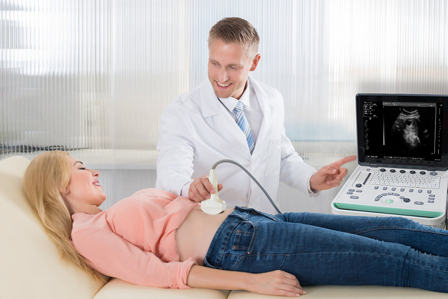 Ultrasound Machine For Veterinary / Human Sonostar Portable Laptop Ultrasound Machine