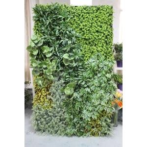 Wholesale Artificial Plant Wall for Landscaping from china suppliers