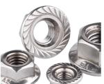 M8 M10 M20 Hex Hexagon Flange Nut Carbon Steel Zinc Plated Zn Serrated DIN6923