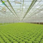 OEM ODM Farm Liquid Fertilizer Irrigation System For Flower Planting