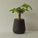 55 Pounds Fiber-Clay Planter for Indoor Outdoor Home Garden Performance