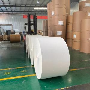 Wholesale Enso 235g Jumbo Paper Roll 185gsm Single PE Coated Paper from china suppliers