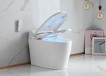 Electronic Bidet Smart Intelligent Toilet Automatic Cleaner Seat