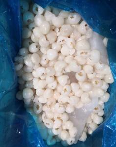 Wholesale Crop Fresh Iqf Frozen Lychee Whole from china suppliers