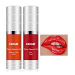 MSDS Permanent Makeup Pigments Eyebrow Cosmetics Tattoo Eyeliner Lip Blush