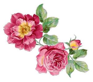 Wholesale Wateside Wood Decal Paper Water Transfer Type 500 * 700mm Modern Style from china suppliers