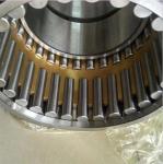110mm 254735Q brass cage Full Complement Needle Double Row Bearing Roller