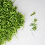 Garden Airport 42cm Artificial Green Walls Waterproof