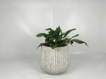 Outdoor Decor Fiber Clay Planters Durable And Stylish Designs