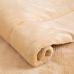 Thickened Pet Mat Warm Autumn Winter Cat Dog General Blanket Non Slip Pad