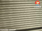 ASME SA213 TP316L Stainless Steel Seamless Heat Exchanger Tube For Power