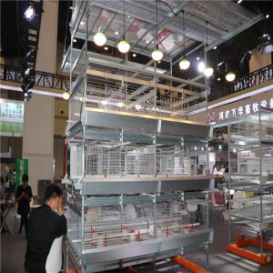 Wholesale Q235 Steel Galvanized 1 Day Old Baby Chick Cage 20 Years Anti Rust from china suppliers