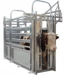 Heavy Duty Steel Cattle Buildings Customized Steel Structure Animal Husbandry
