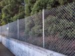 Chinese Factory Direct Pvc Coated Black Decorative Garden Welded Wire Mesh Chain