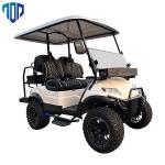 25mph Electrical Golf Cart , Customizable Color TOP Golf Car EV.2+2G
