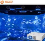 Art Exhibition Equipment Immersive Projector Indoor Interactive Projection