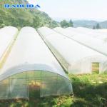 Fruits Growing Agricultural Polyethylene Film Greenhouse Hot Dip Galvanized