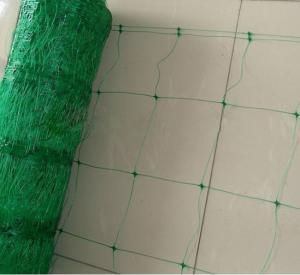 Wholesale Green Plant Support Net / Agriculture Net Hdpe With Uv , 15x17cm Mesh from china suppliers