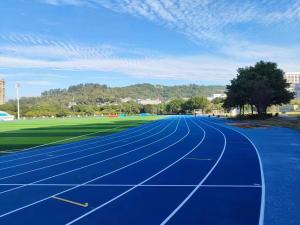 Wholesale Easy Installation And Weather Resistance Jogging Running Track For Professionals from china suppliers