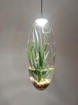 DIY PLANT OR FISH TANK LAMP，CHILDREN LOVELY LIGHT，Protect eyesight LAMP