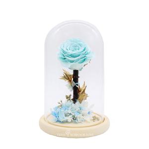 Wholesale 14*14*22CM Preserved Rose Glass Dome from china suppliers