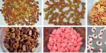 Automatic Food Drying Machine Melon Fruits Seeds Baking Equipment 380v / 220v